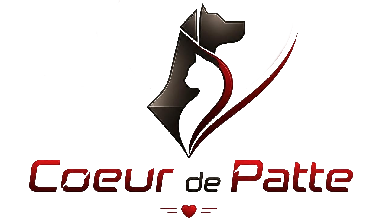 FlameOnePage Logo